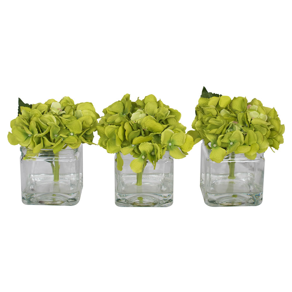 Vickerman 5″ Green Hydrangea in Glass Cube 3/Set - F12237