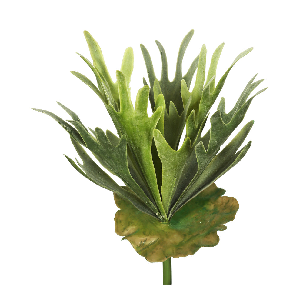 Vickerman 13″ Staghorn Fern Bush Frosted-Green - FA170301