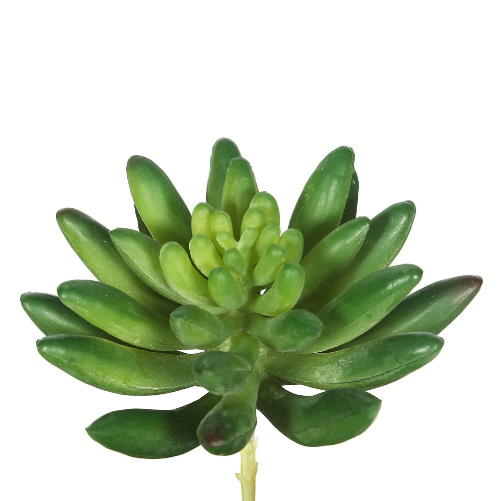 Vickerman 4″ Cactus-Green (Pk/6) - FA170501
