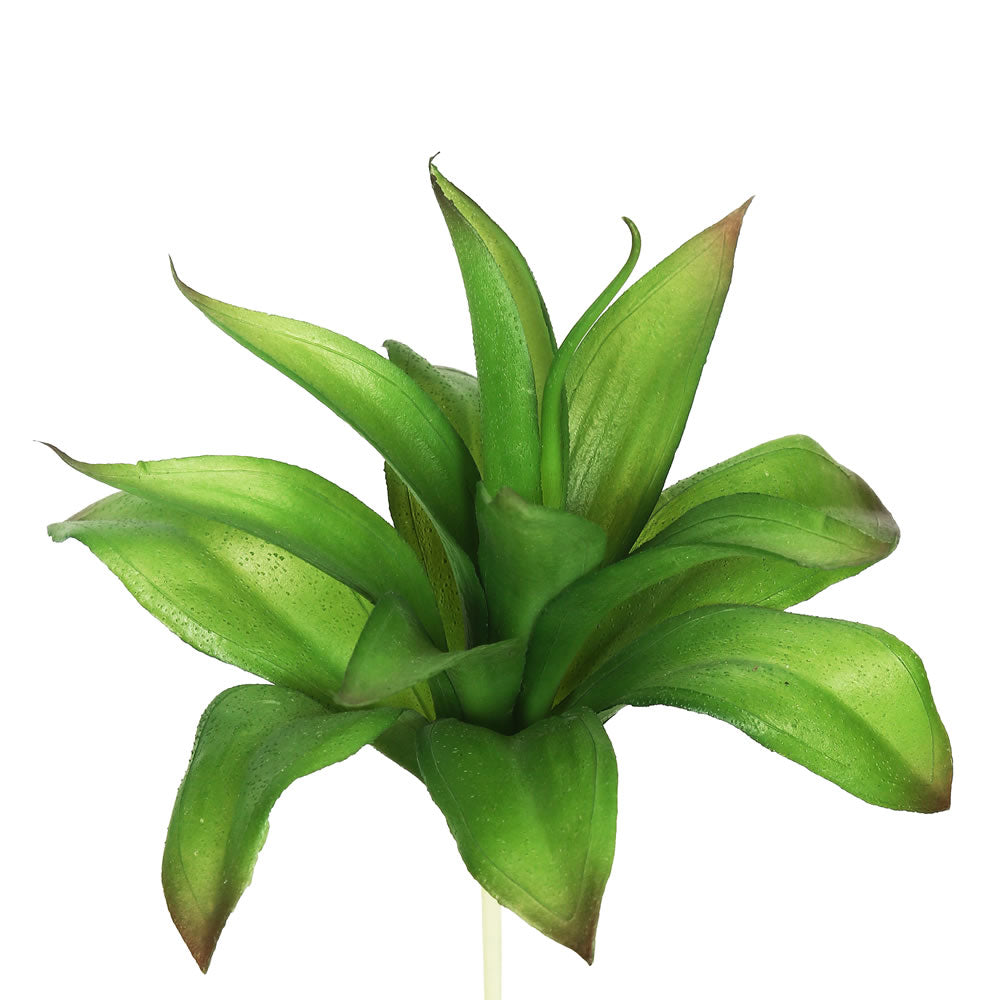 Vickerman 8″ Agave-Green (Pk/3) - FA170801