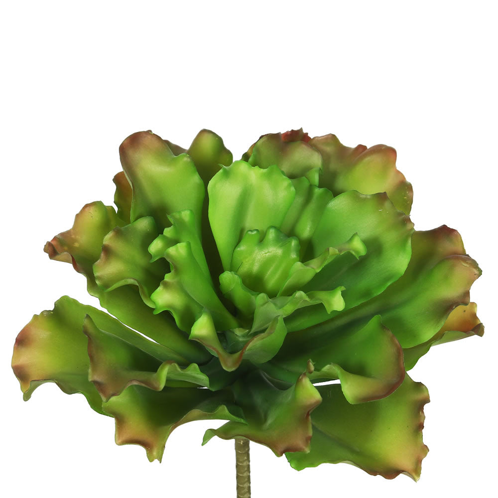 Vickerman 9″ Big Romaine-Green/Brown (Pk/3) - FA170901