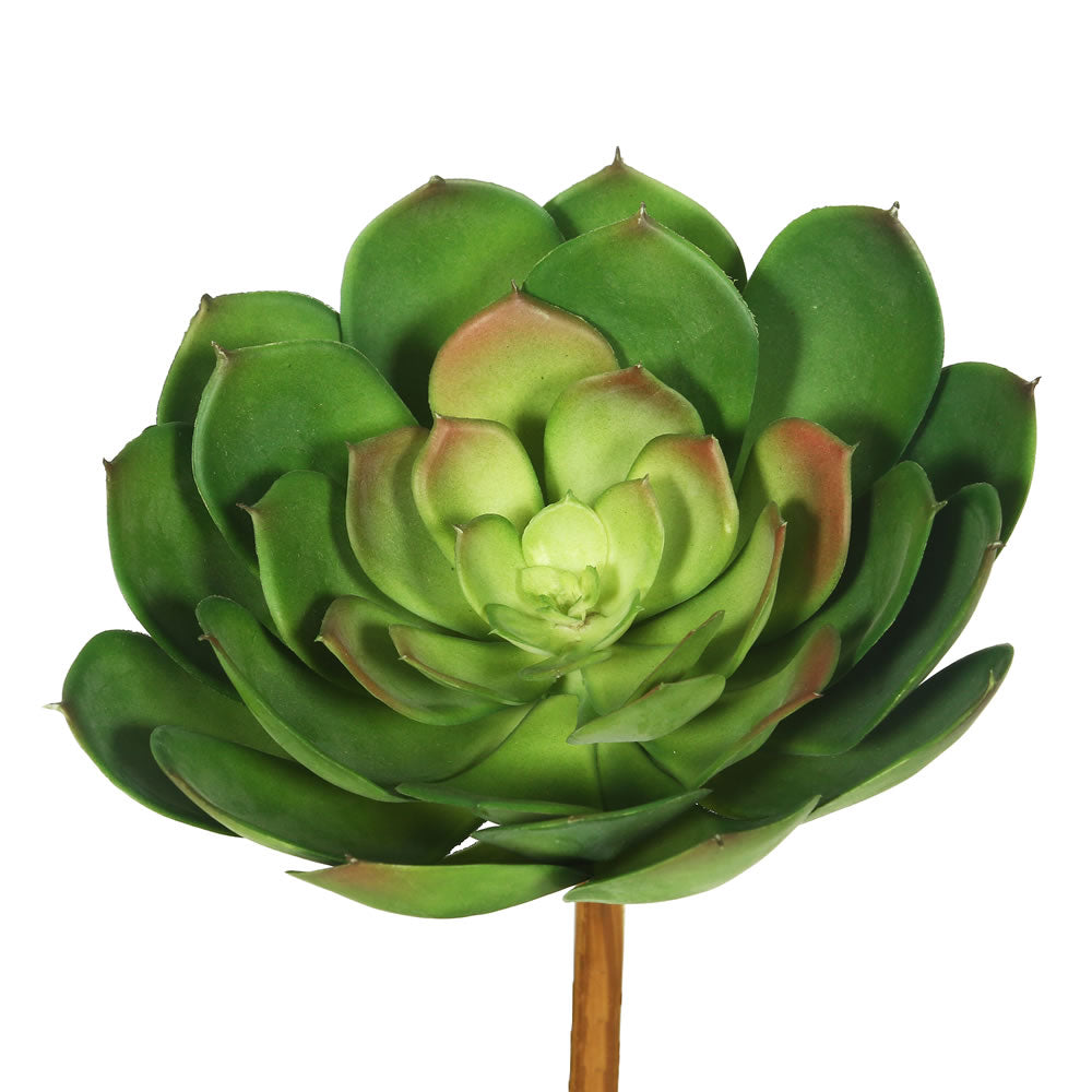Vickerman 8″ Cactus-Green 3/Bag - FA171001