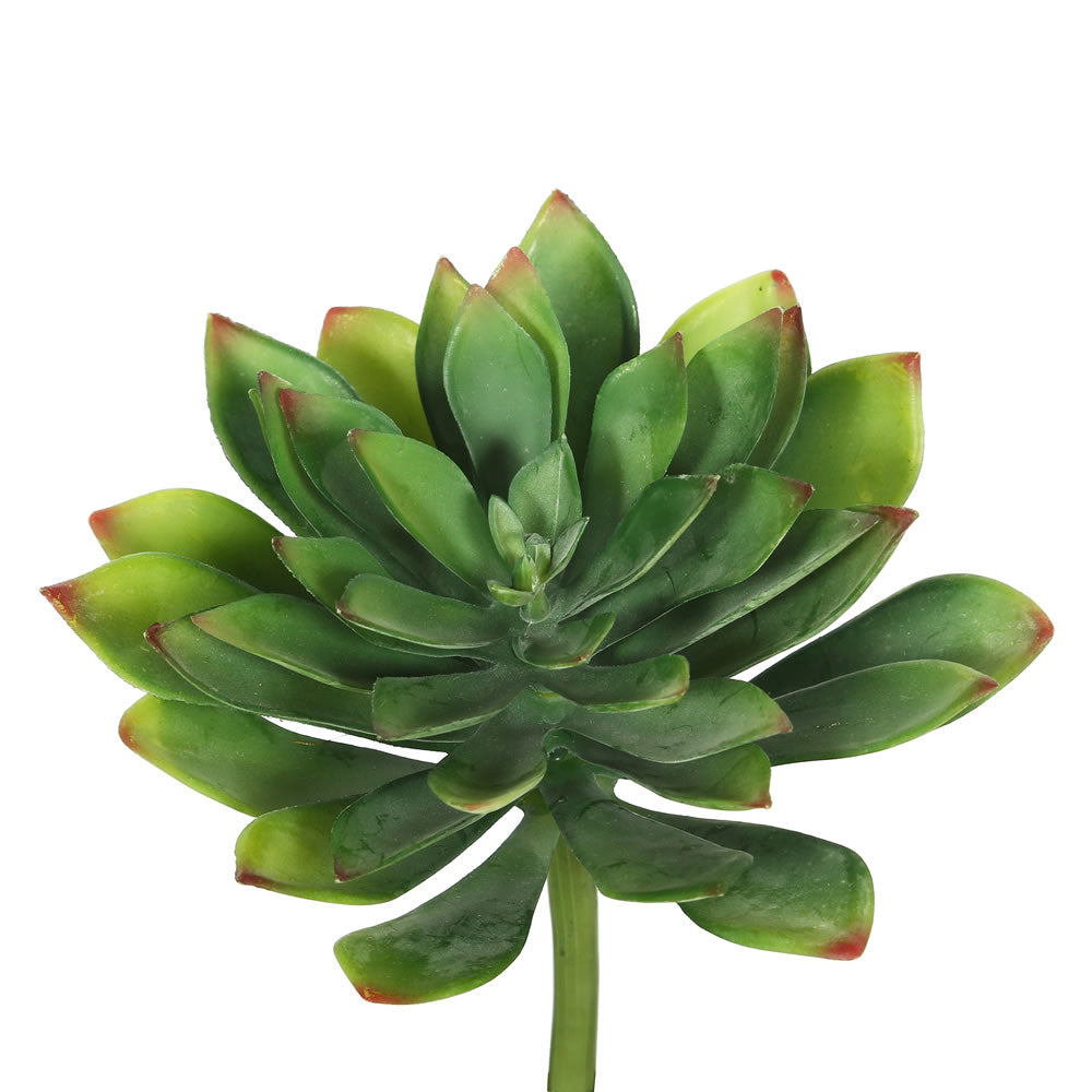 Vickerman 10″ Cactus-Green 3/Bag - FA171101