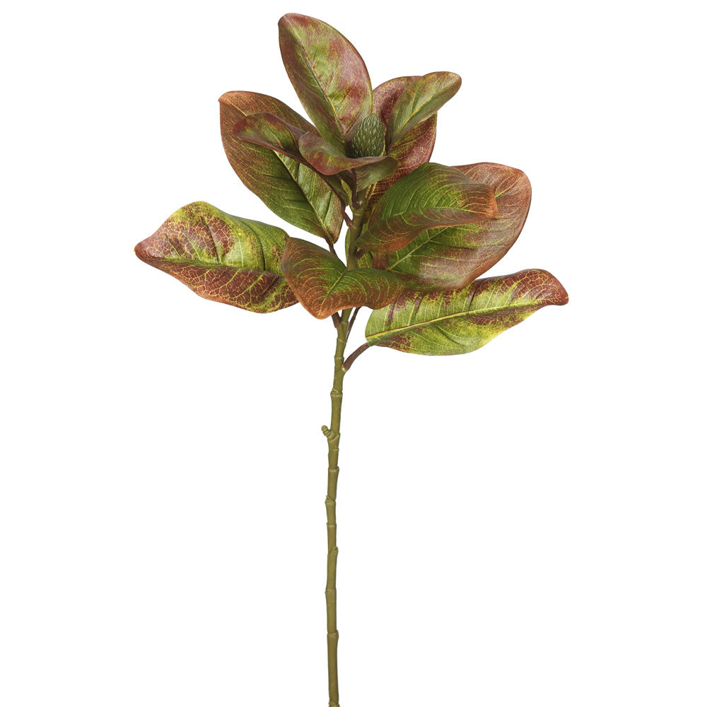Vickerman 31”Single Magnolia Leaves-Autumn (Pk/3) - FA172301