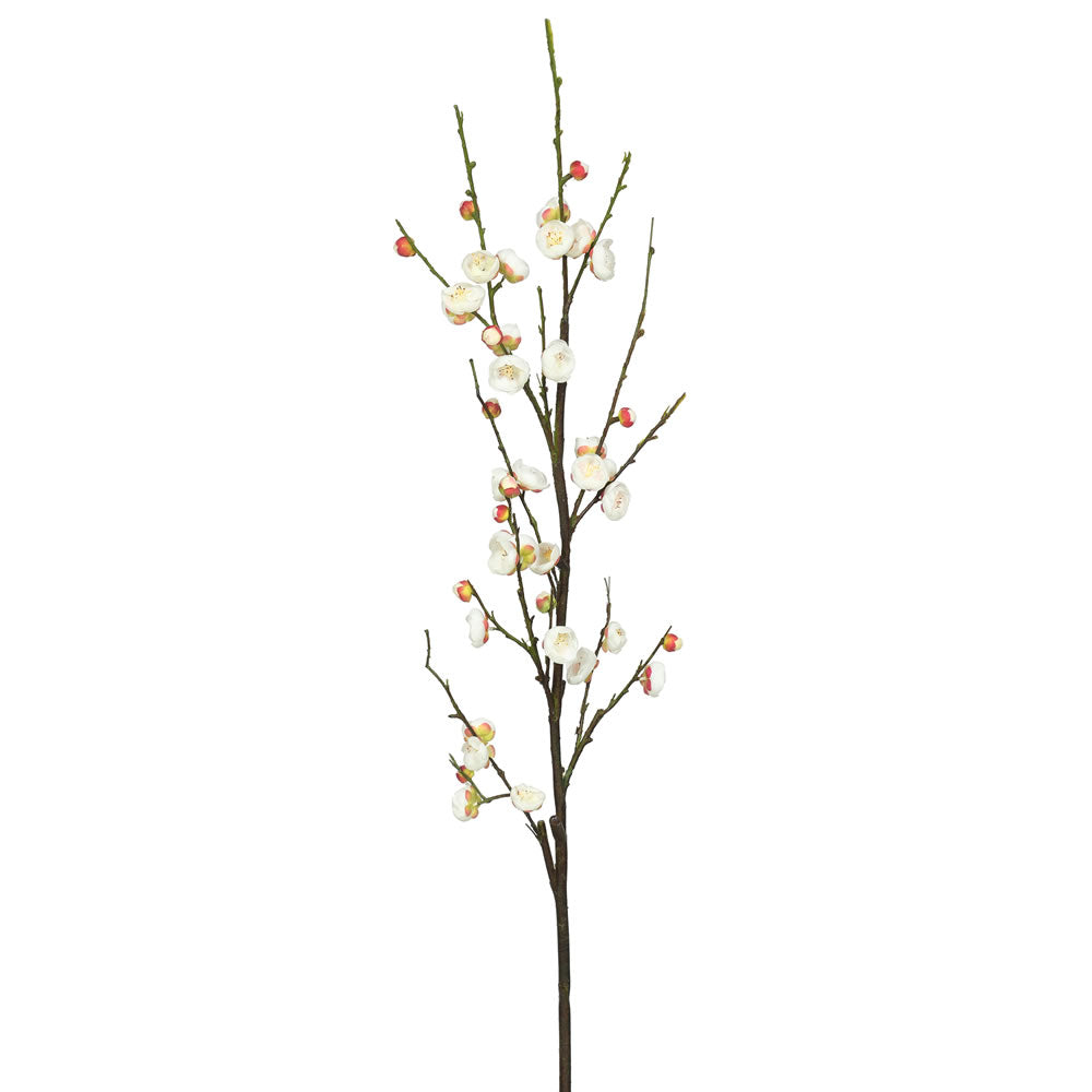 Vickerman 47″ Cream Plum Blossom - FA172902