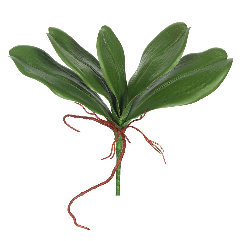 Vickerman 9″ Real Touch Orchid Leaves-Green(Pk/3) - FA173101