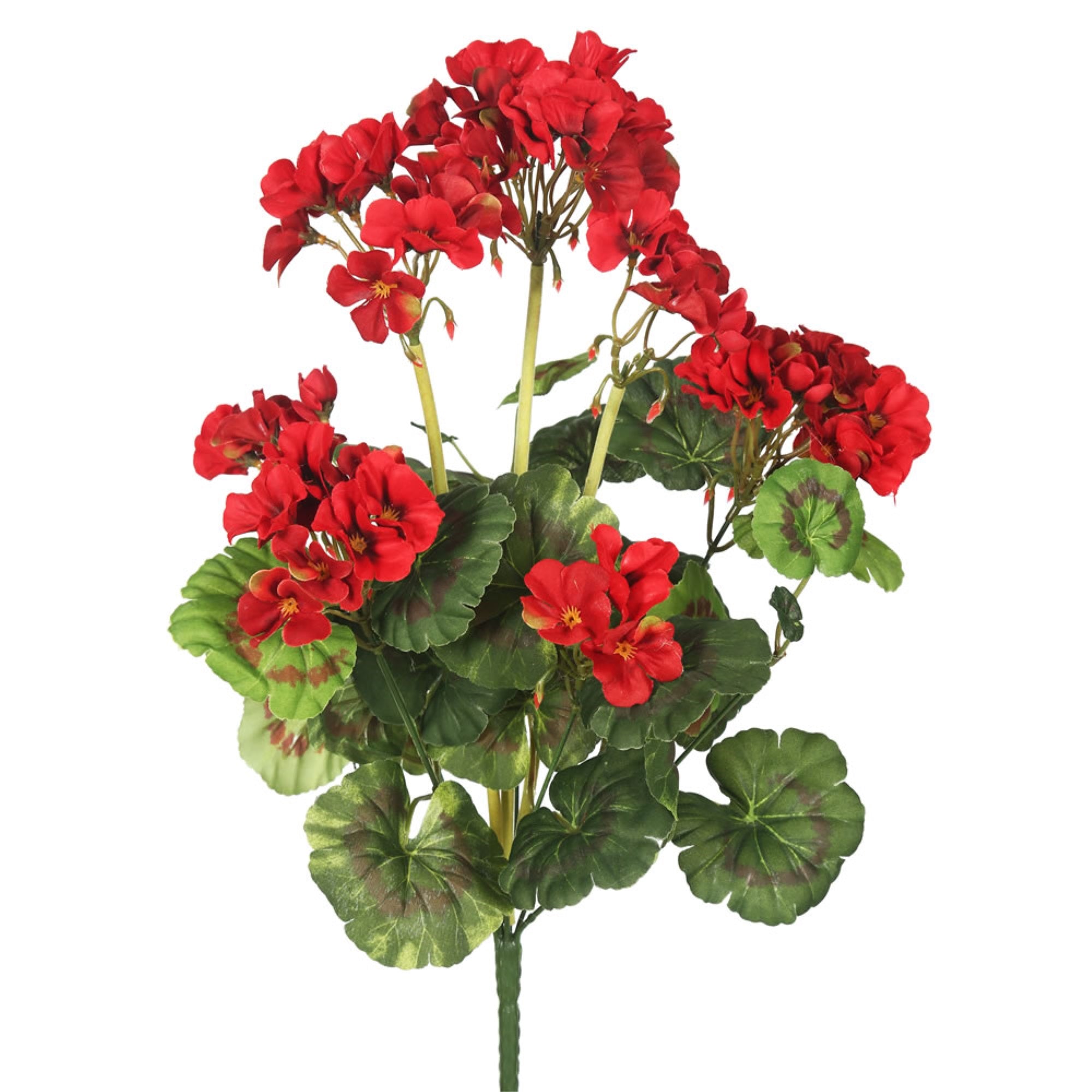 20” Red Geranium Bush 4/pk