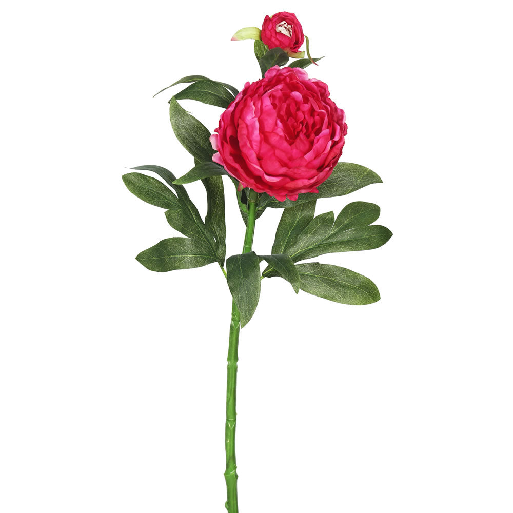 Vickerman 24″ Peony Hot Pink W/2 Blooms 3/pk - FA174801