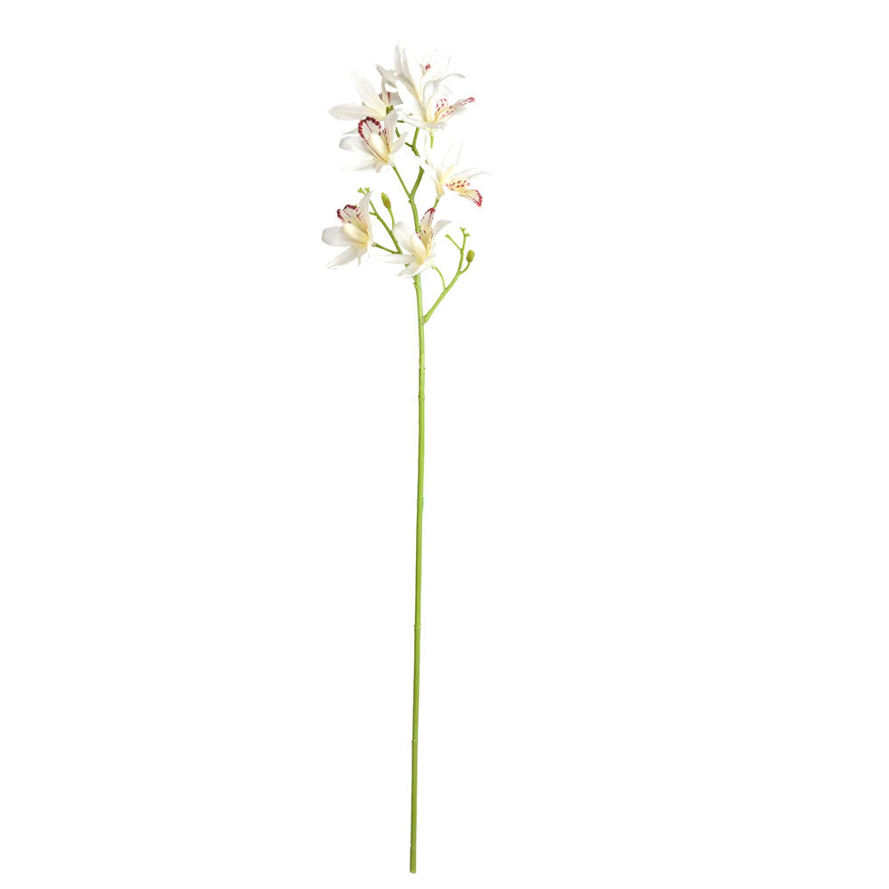 Vickerman 32” White Orchid Stem 6/Pk - FA188911
