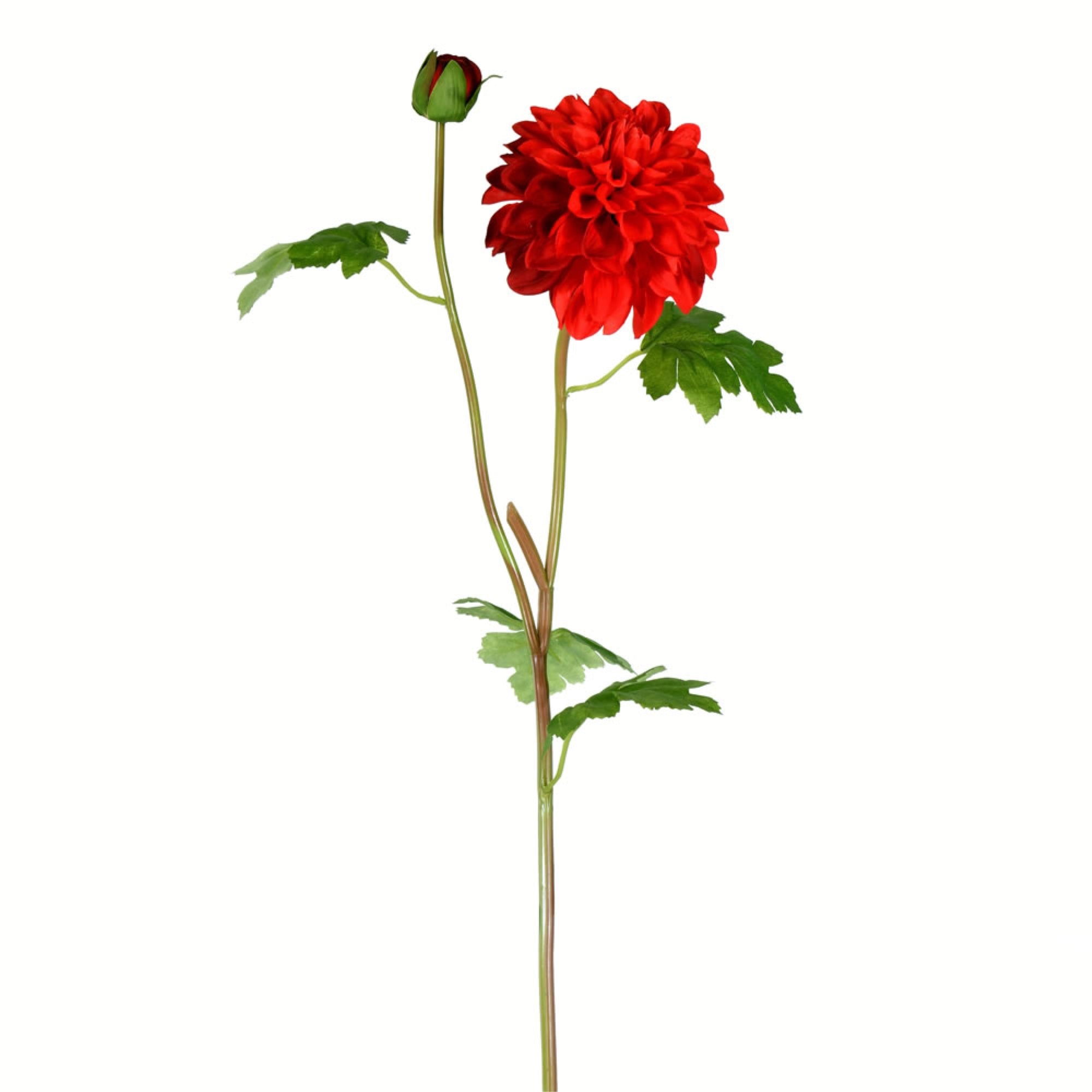 24” Red Dahlia Stem 3/pk