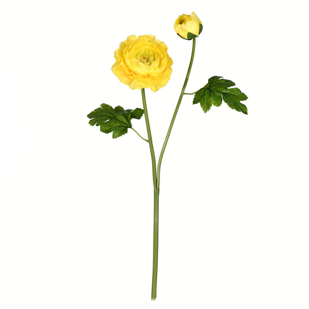Vickerman 19” Yellow Ranunculus Stem 6/pk - FA191208