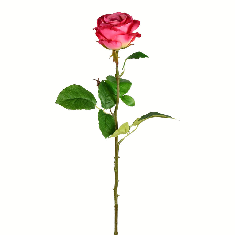 Vickerman 26” Deep Pink Rose Stem 6/pk - FA191345