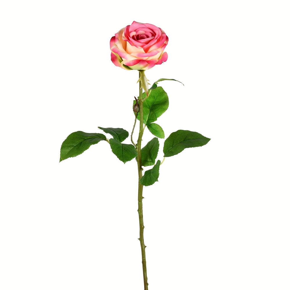 Vickerman 26” Light Pink Rose Stem 6/pk - FA191379
