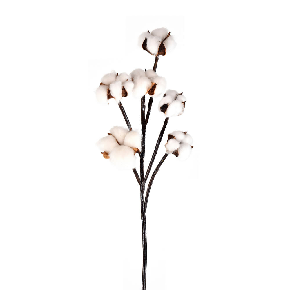 Vickerman 30” White Cotton Spray Pk/3 - FA191901