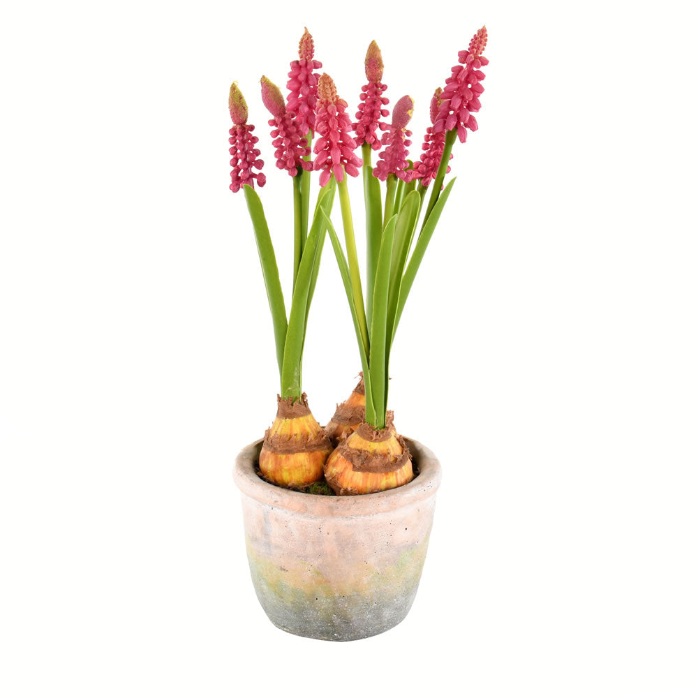 Vickerman 10” Mauve Hyacinths in Container 2/pk - FA192970