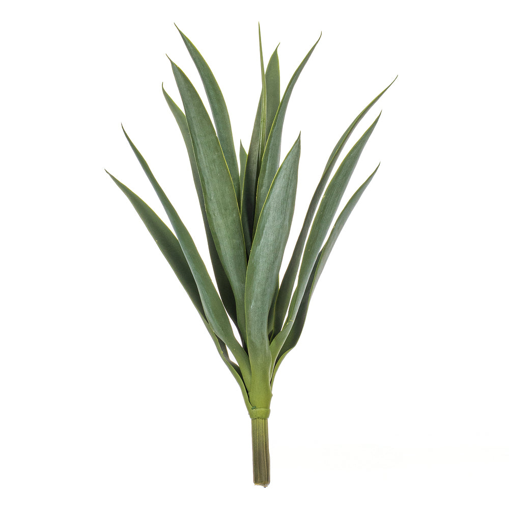 16″ Green Yucca Stem 3/Bag