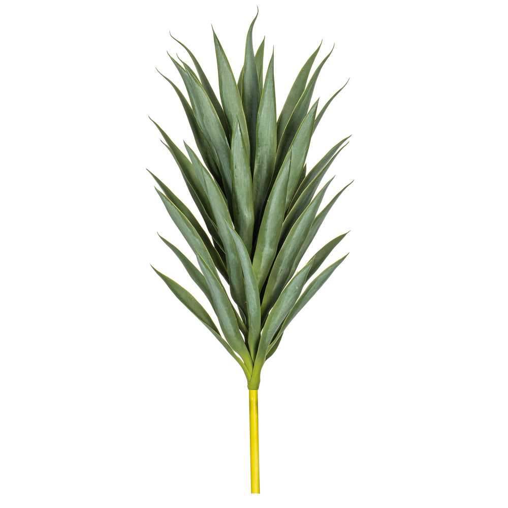 35″ Green Yucca Stem
