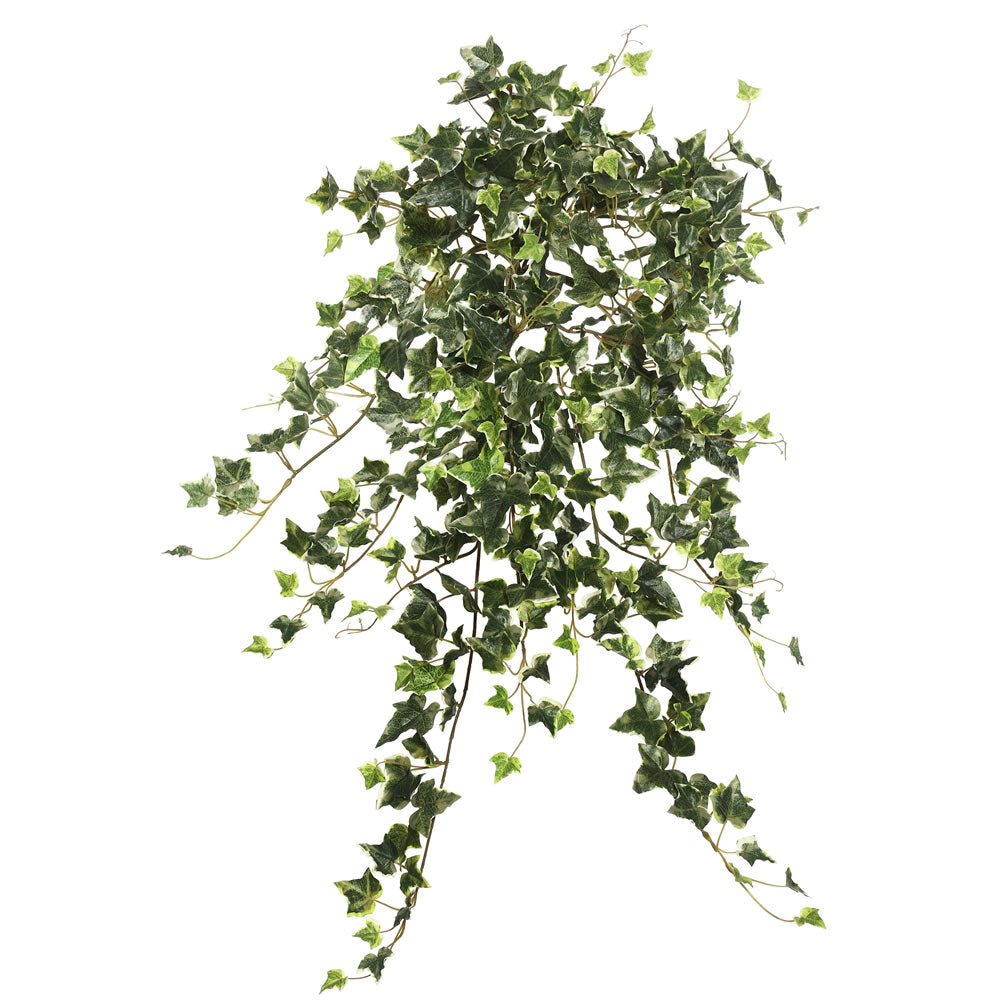 Vickerman 26″ Mini Vari. Ivy Hanging Bush-Green - FB170901