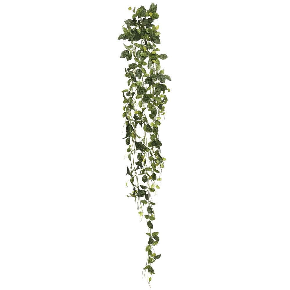 Vickerman 65″ Fittonia Hanging Bush W/374 Lvs.-Gre - FB171001