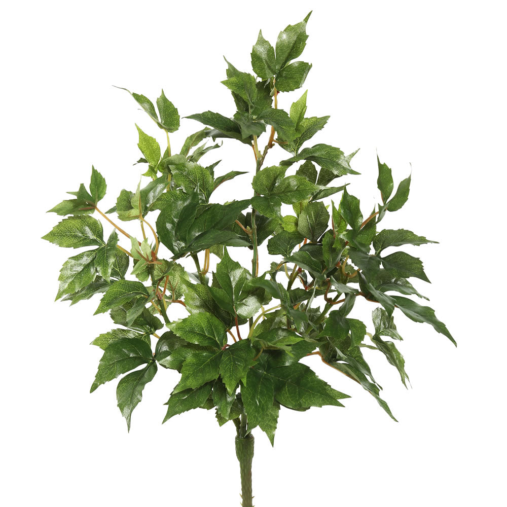 Vickerman 20″ Maple Ivy Bush W/66 Lvs-Green - FB171801