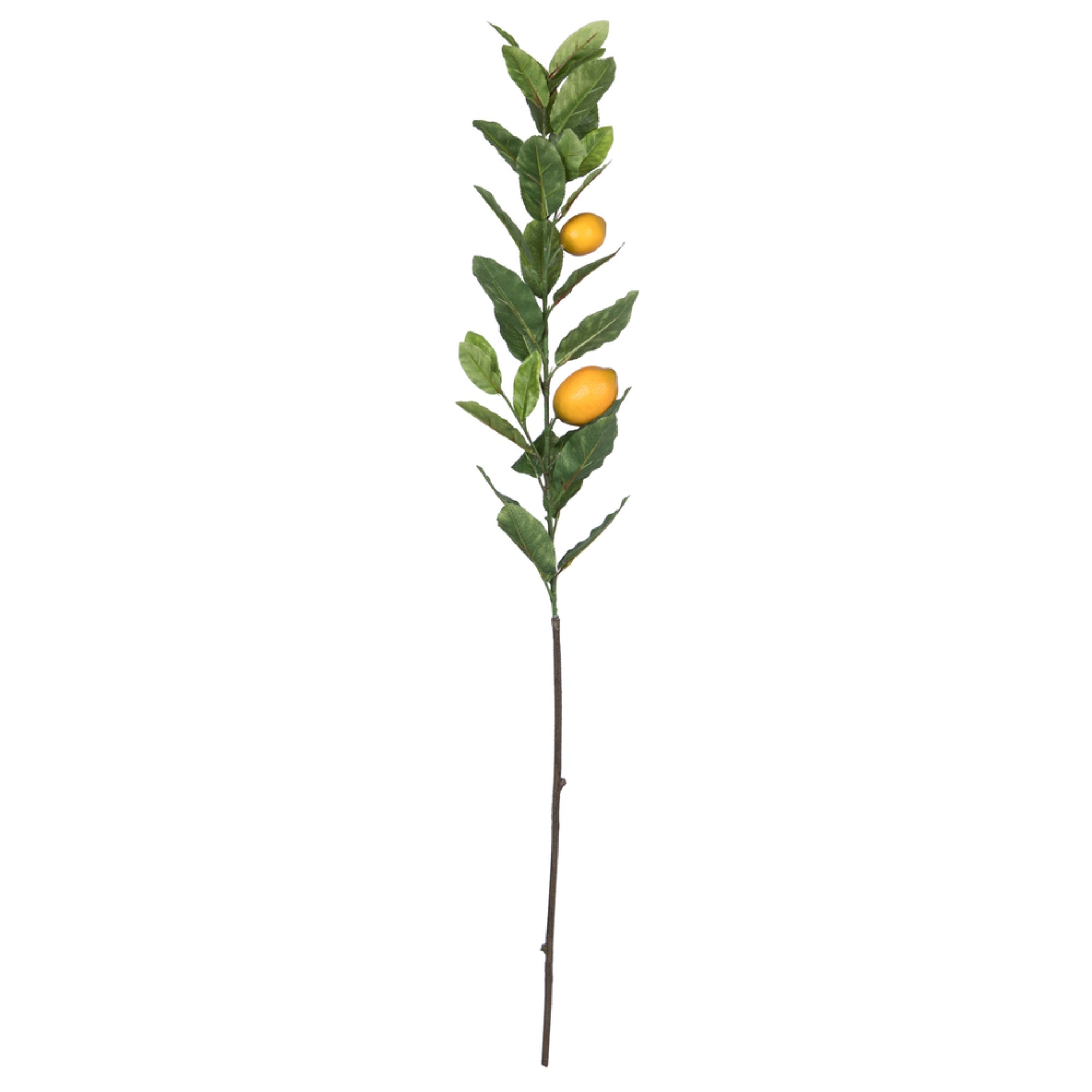 48” Lemon Branch 30 Leaves 2 Lemons