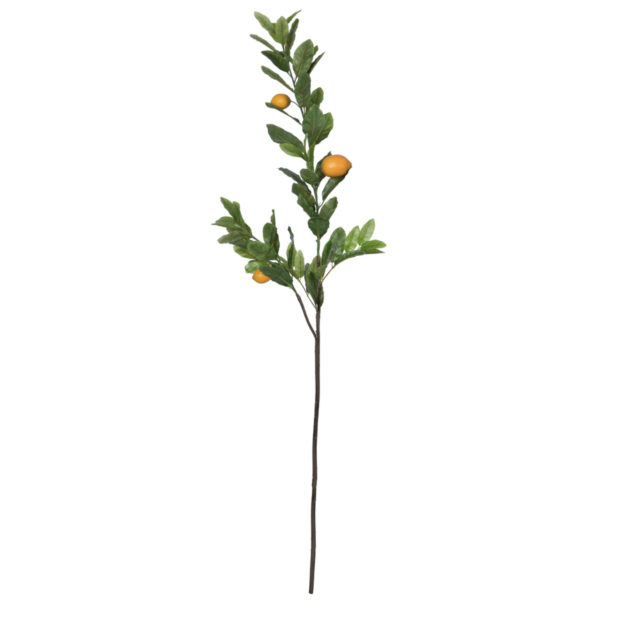 60” Lemon Branch 53 Leaves 3 Lemons