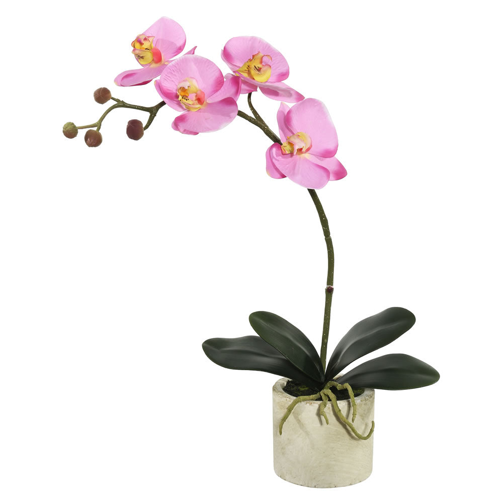 Vickerman 20″ Potted Orchid Lavender - FC170501
