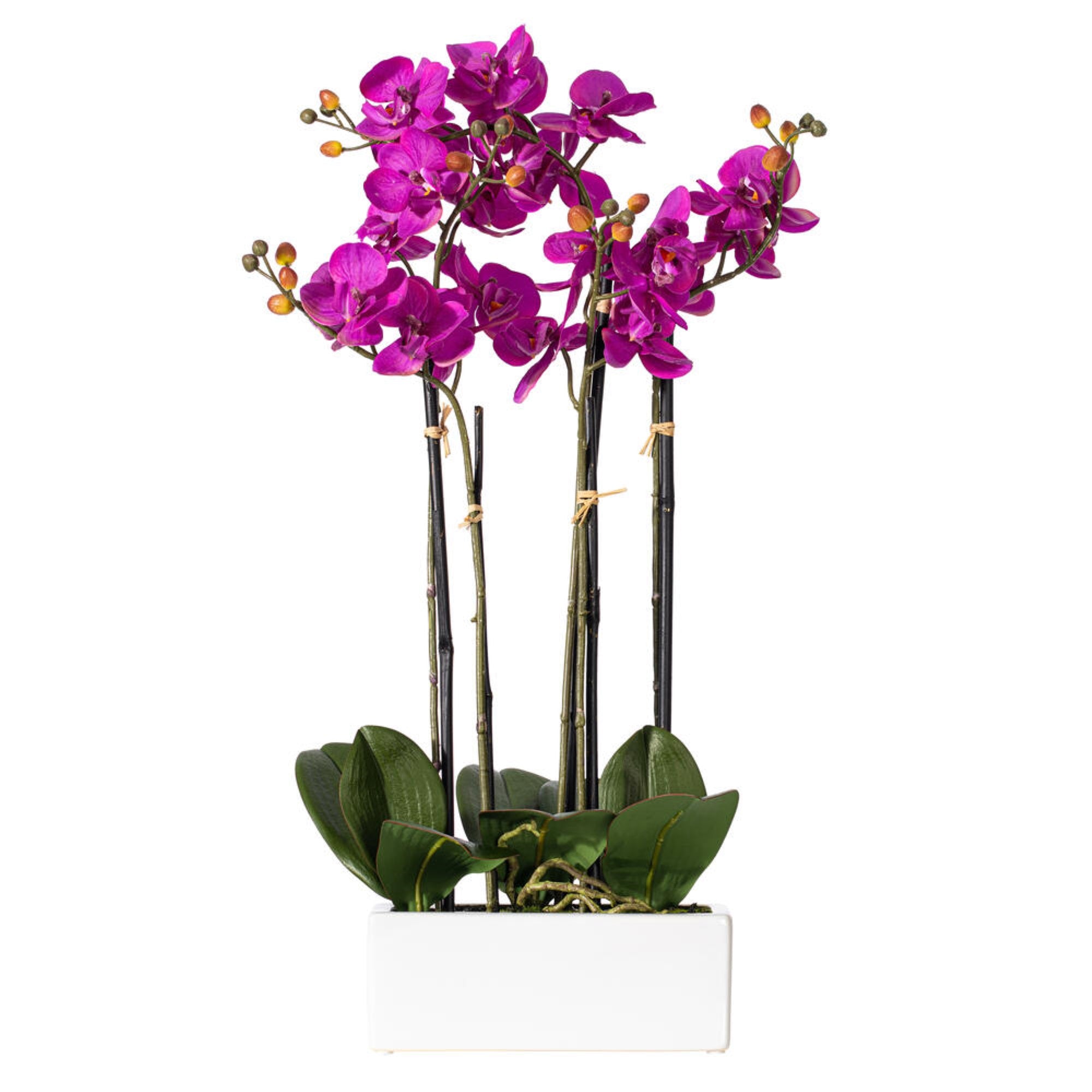 Vickerman 21″ Artificial Purple Orchid in Ceramic Pot