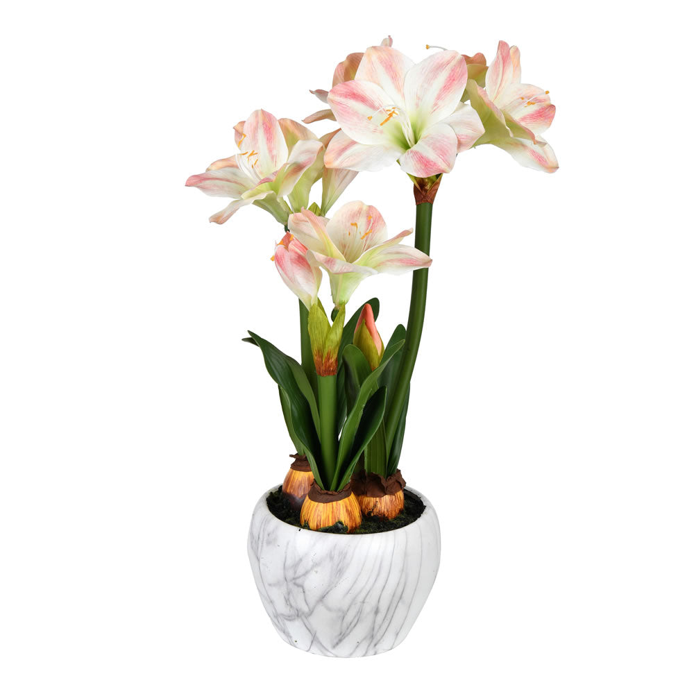 Vickerman 25” Pink Amaryllis Arrangement - FC190379