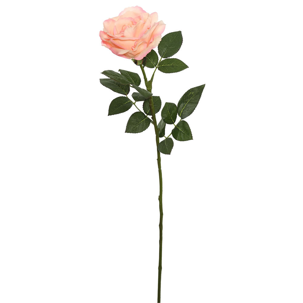 Vickerman 27'' NT Rose Stem-Peach 3/pk - FD170602