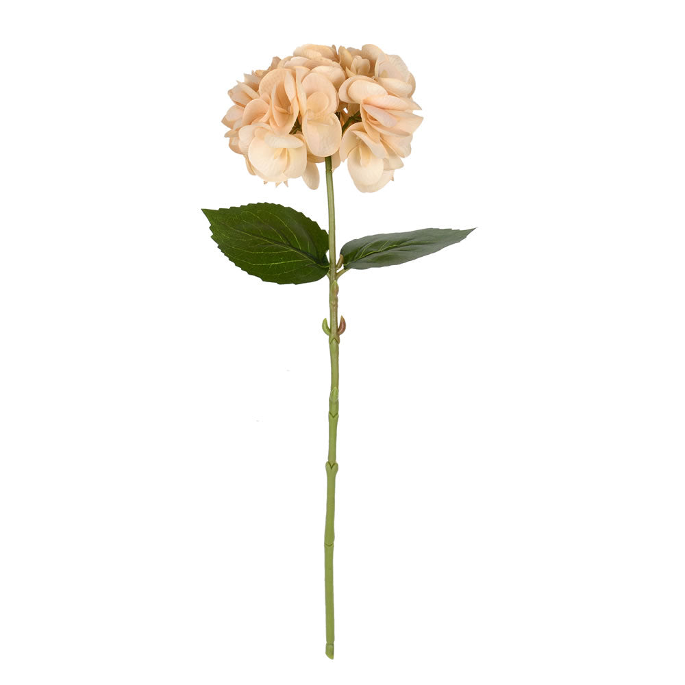 Vickerman 18” Beige Hydrangea Spray 4/Pk - FD180180
