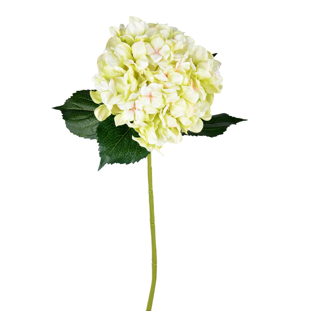 Vickerman 33” Light Green Hydrangea Spray 2/pk - FD190473