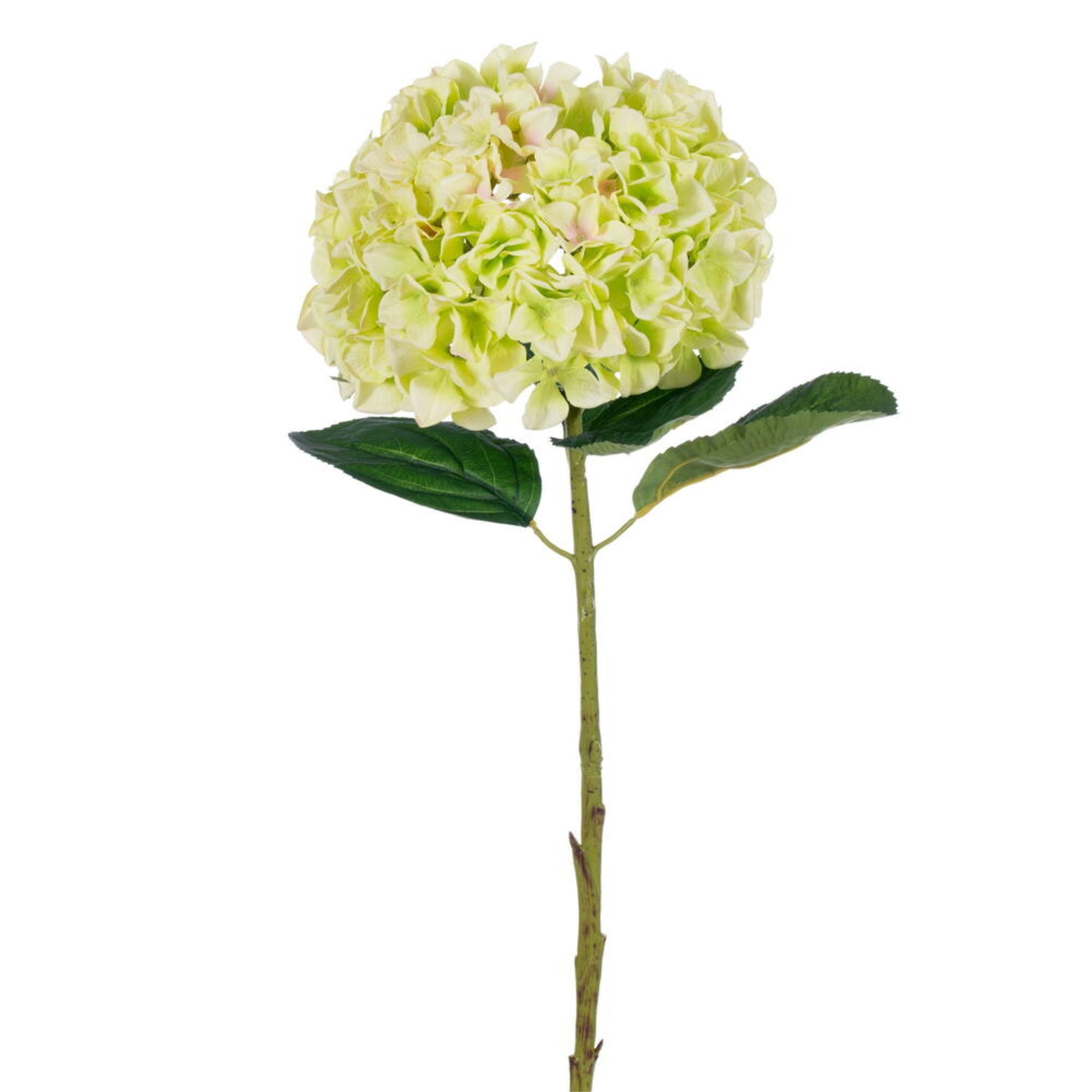 Vickerman 30” Apple Green Large Artificial Hydrangea with leaves on Stem.