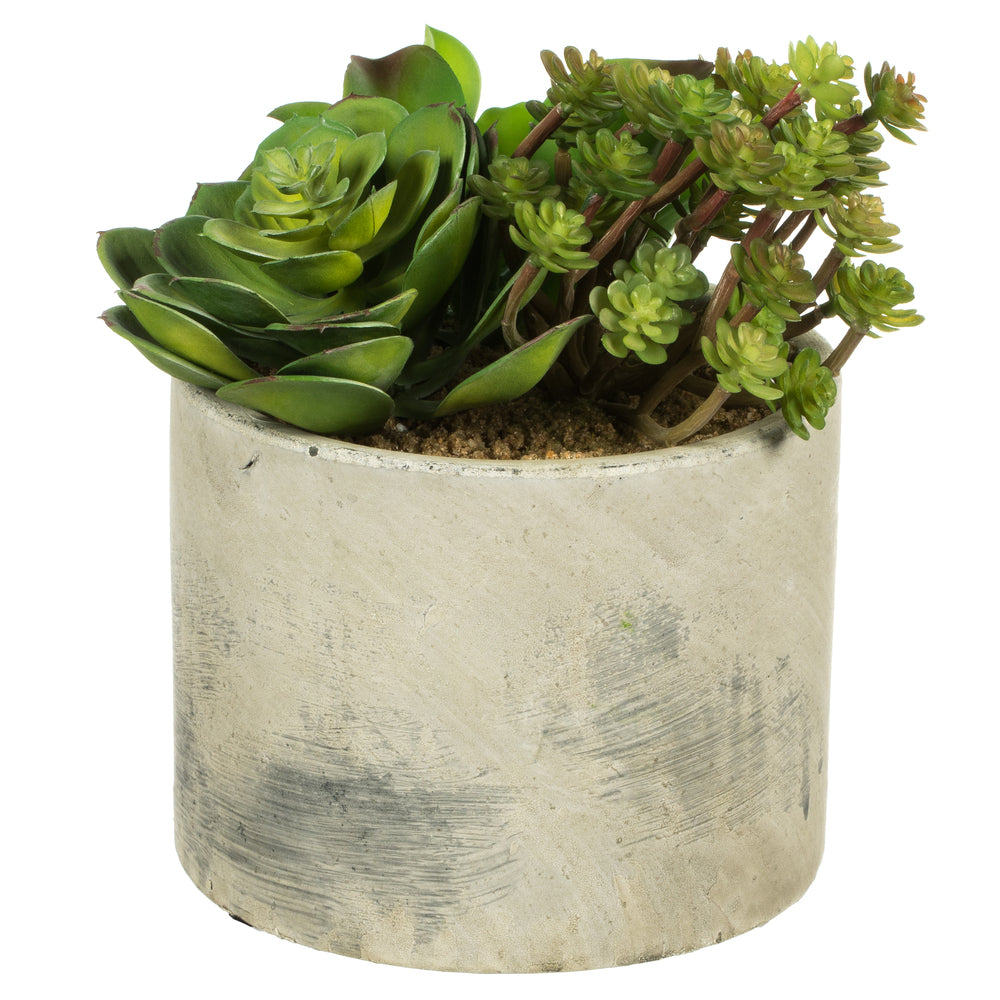 Vickerman 8″ Succulent Arrangement - FE073201