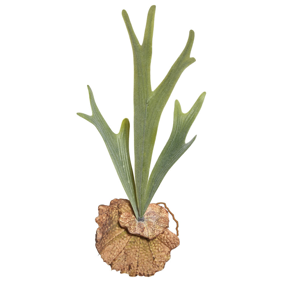 Vickerman 16.5″ Staghorn Fern Pick - FE171401