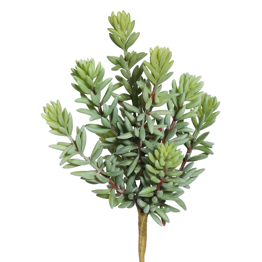 Vickerman 8″ Sedum Pick (PK/3) - FE171601