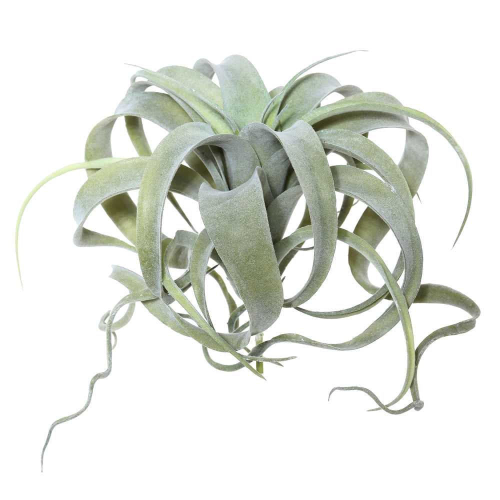 Vickerman 10.5″ Green Tillandsia Pick - FE172301