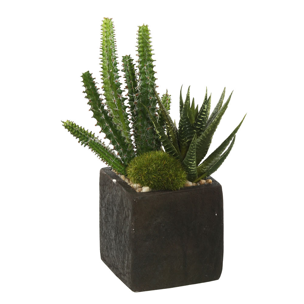 Vickerman 8” Succulent Arrangement 2/Bag - FE172401-2