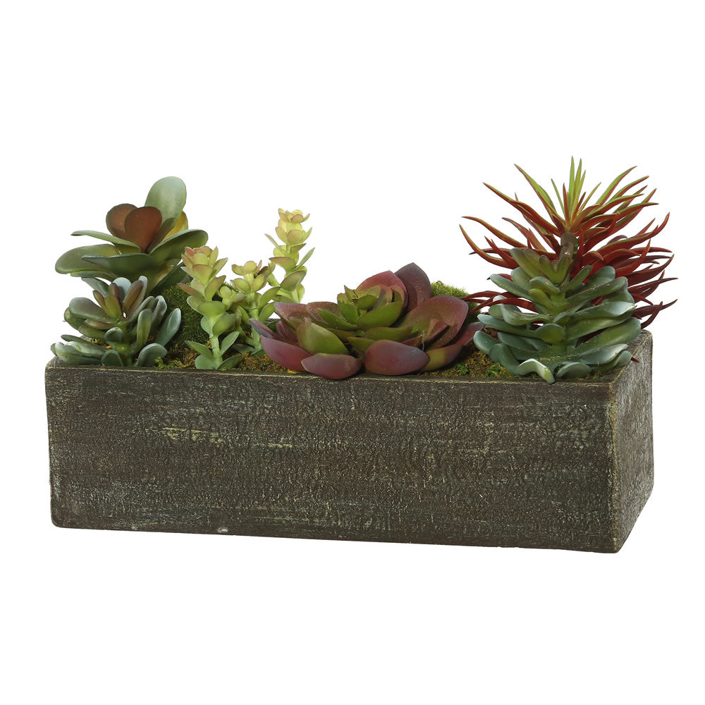 Vickerman 5.25″ Succulent Arrangement - FE173001