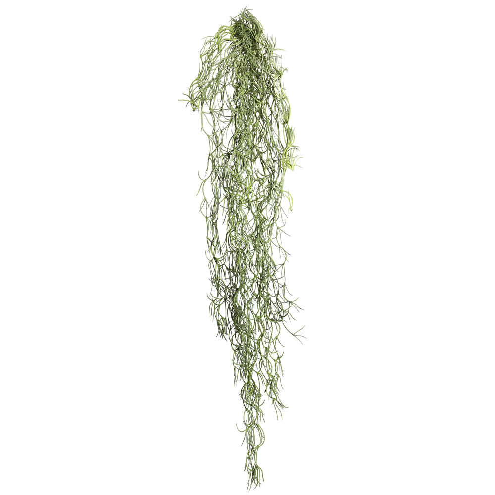 Vickerman 29.5” Tillandsia Root Pk/3 - FE173301-3