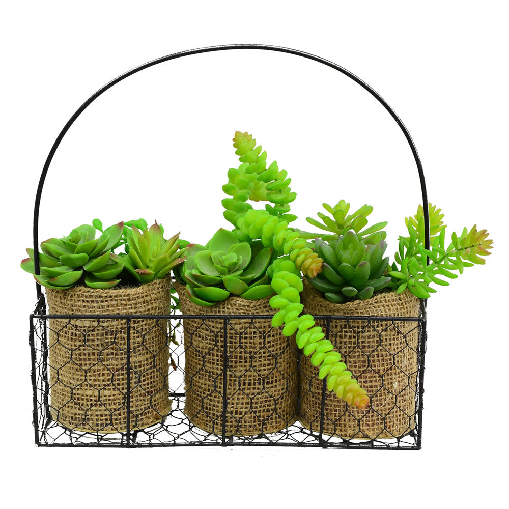 Vickerman 11” Asst Succulents in Galvanized Hanger - FE181201