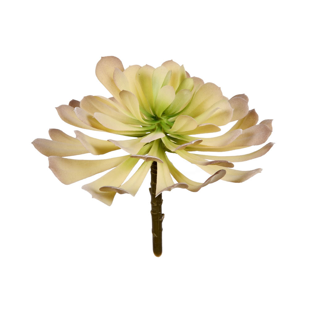 Vickerman 5.5” Green Succulent Pick Pk/3 - FE190805