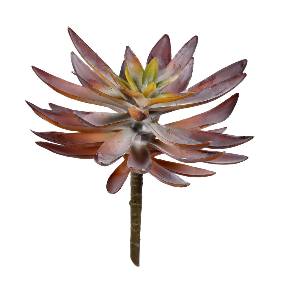 Vickerman 8.5” Green Succulent Pick Pk/3 - FE190908