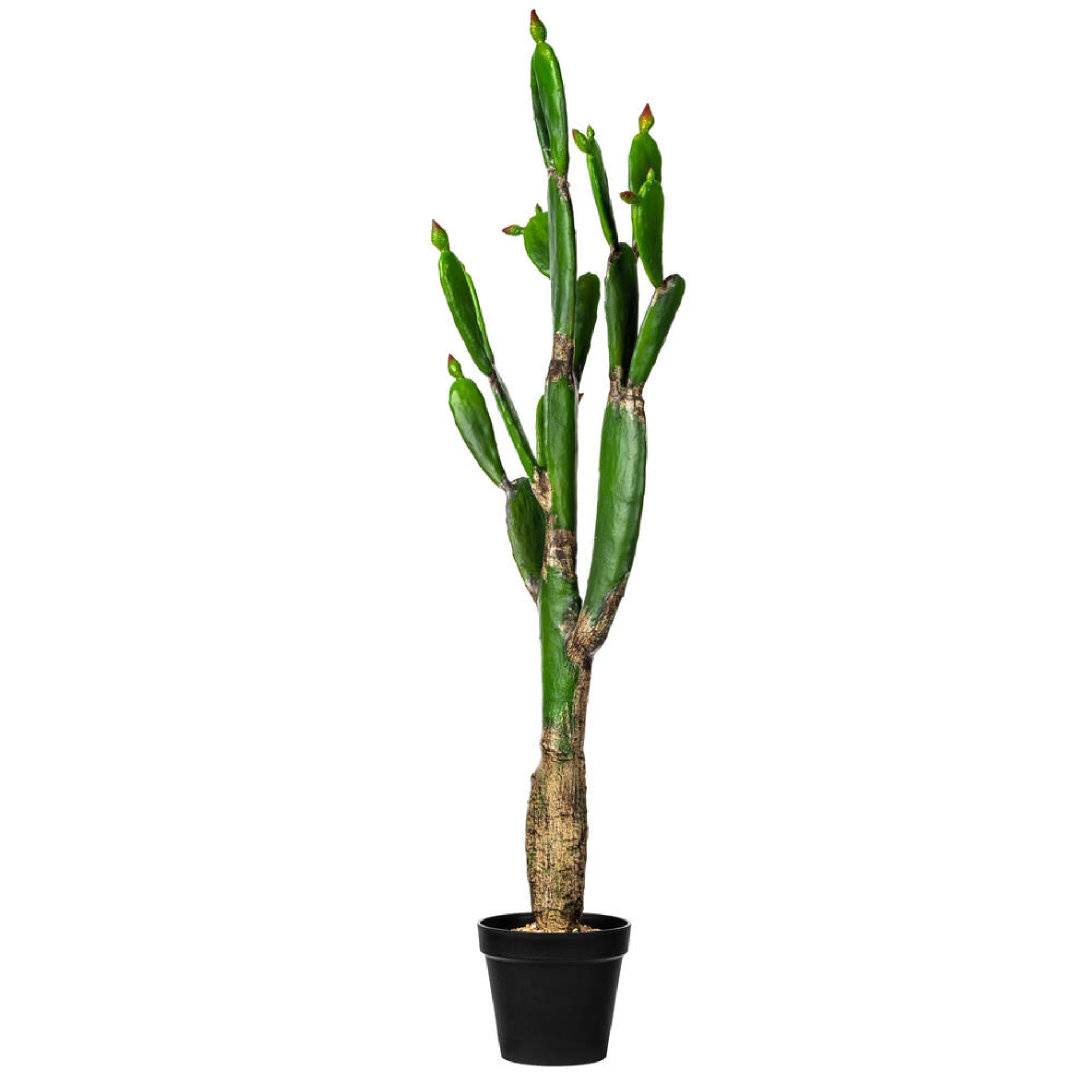 Vickerman 57” Artificial Green Cactus, Black Plastic Planters Pot.