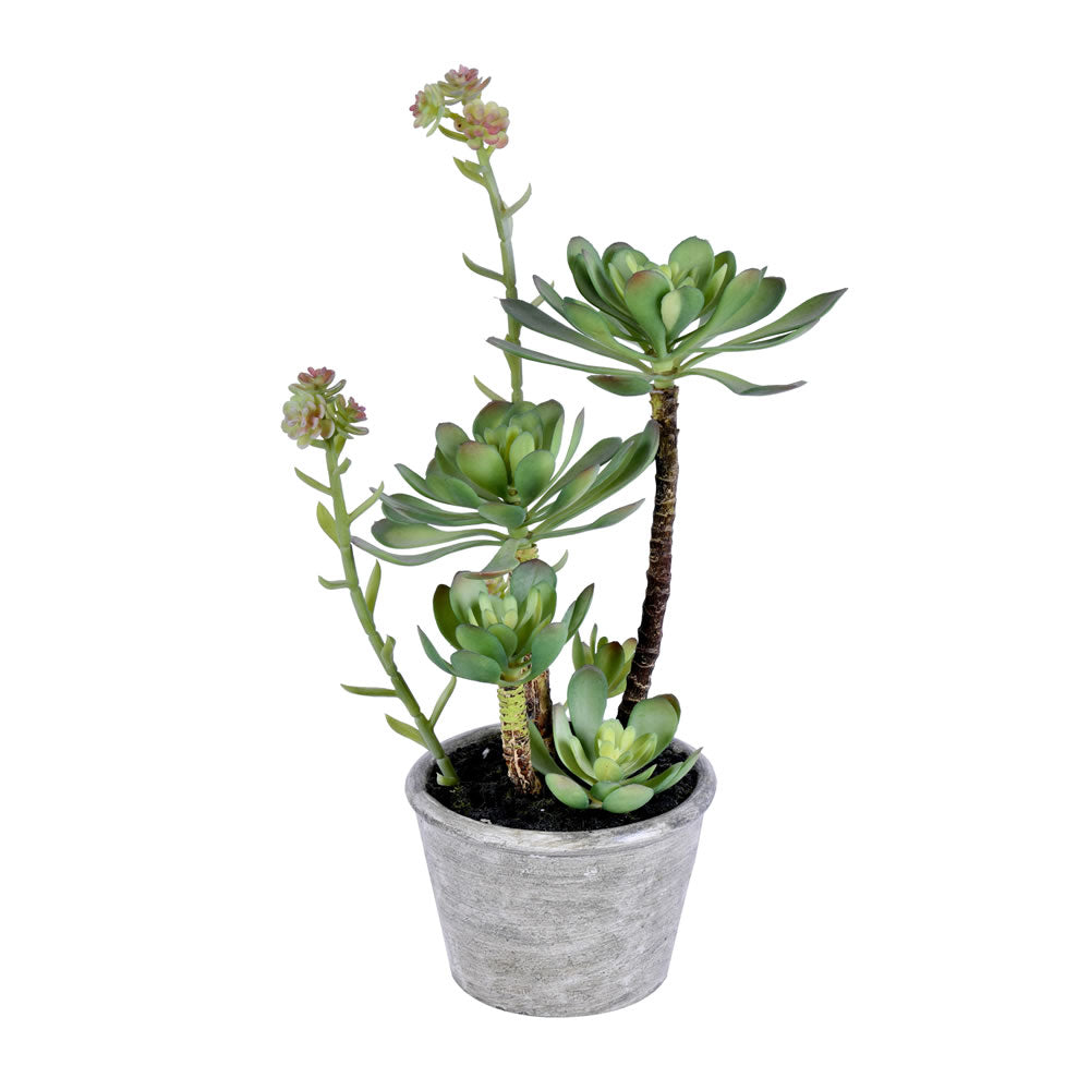 Vickerman 13.5” Green Potted Succulent - FE192013