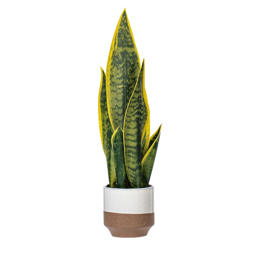 20.5” Green/Yellow Snake Plant Ceramic