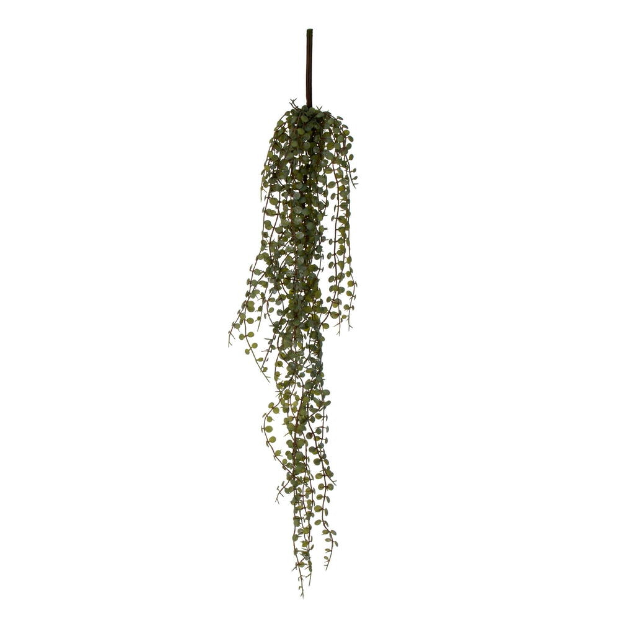 28” String of Coins Hanging Bush 2/pk