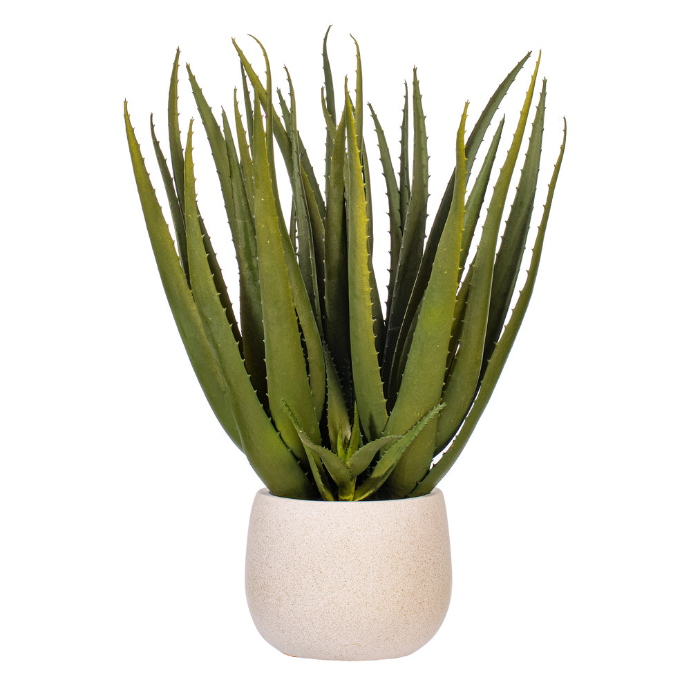 19.5” Green Aloe Plant in Cement Pot