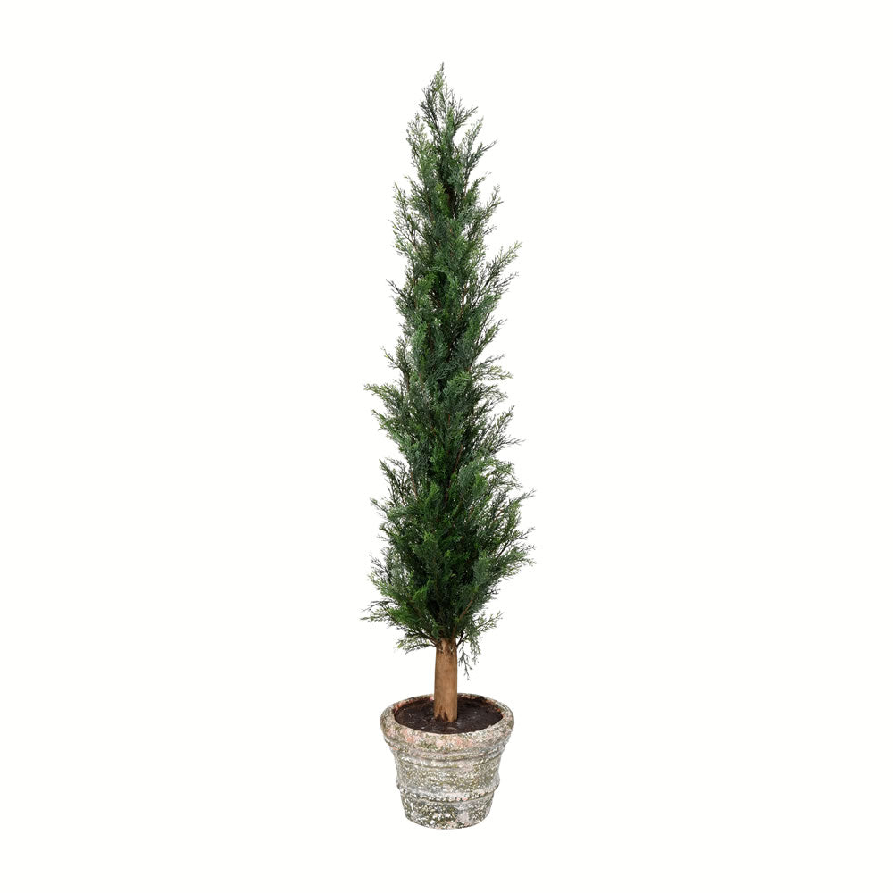 Vickerman 48” Potted Cedar Tree - FG190148