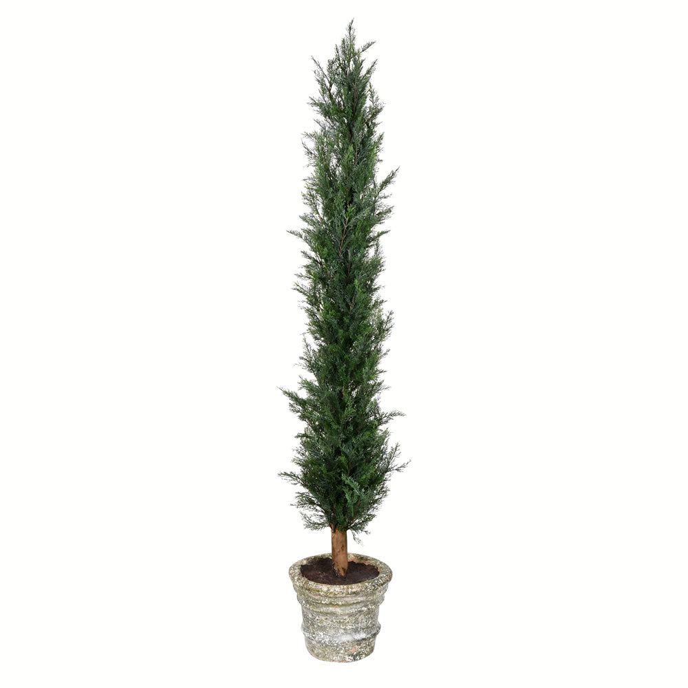 Vickerman 60” Potted Cedar Tree - FG190160